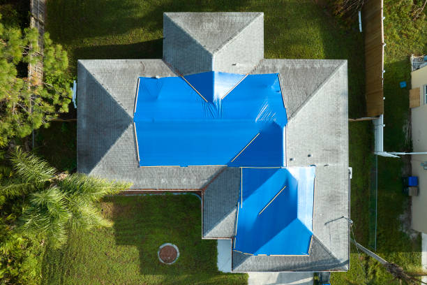 Best Roof Maintenance and Cleaning  in Los Osos, CA