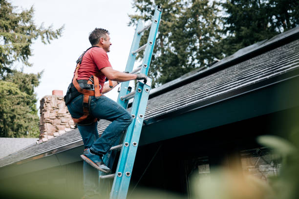 Best Roof Insulation Installation  in Los Osos, CA